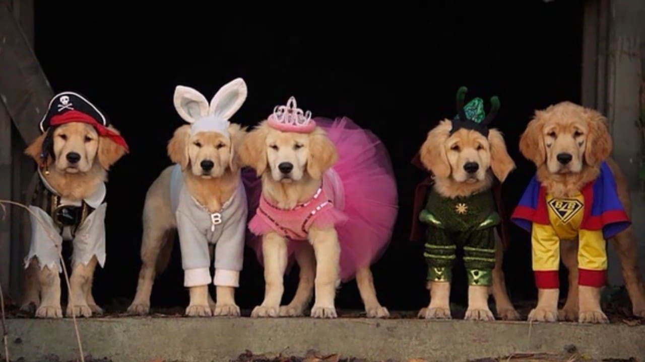 Spooky Buddies still 2
