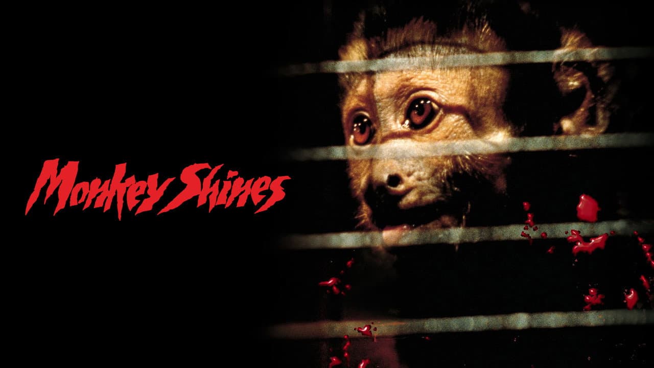 Monkey Shines still 8