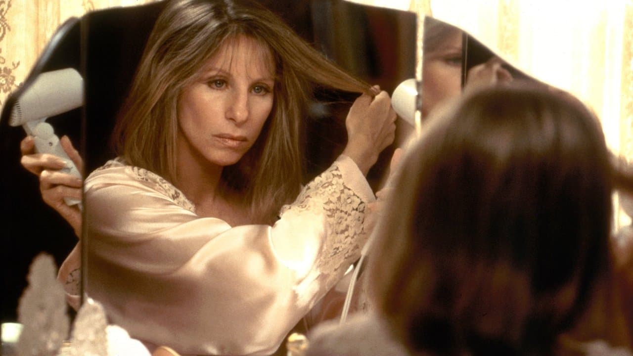 The Mirror Has Two Faces still 1