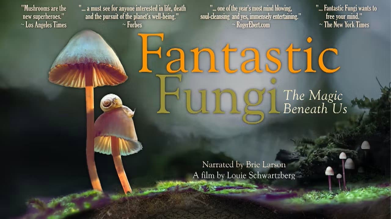 Fantastic Fungi still 7