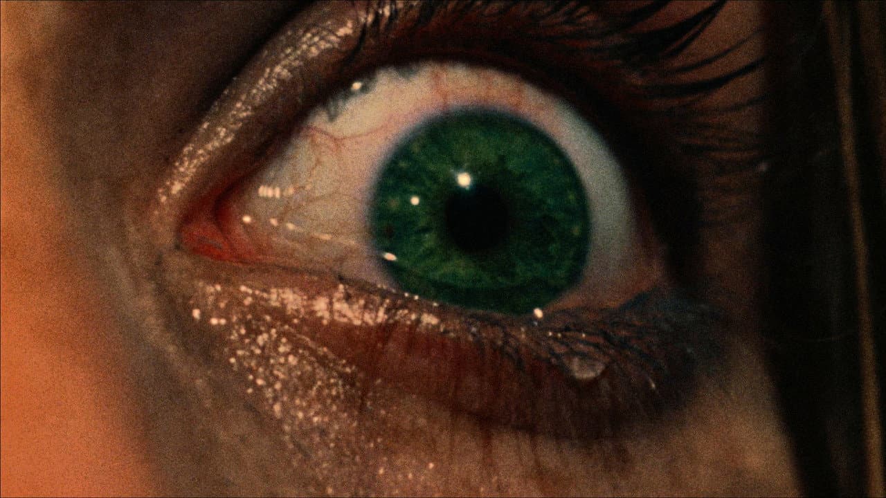 The Texas Chain Saw Massacre still 3