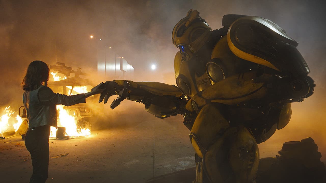 Bumblebee still 5