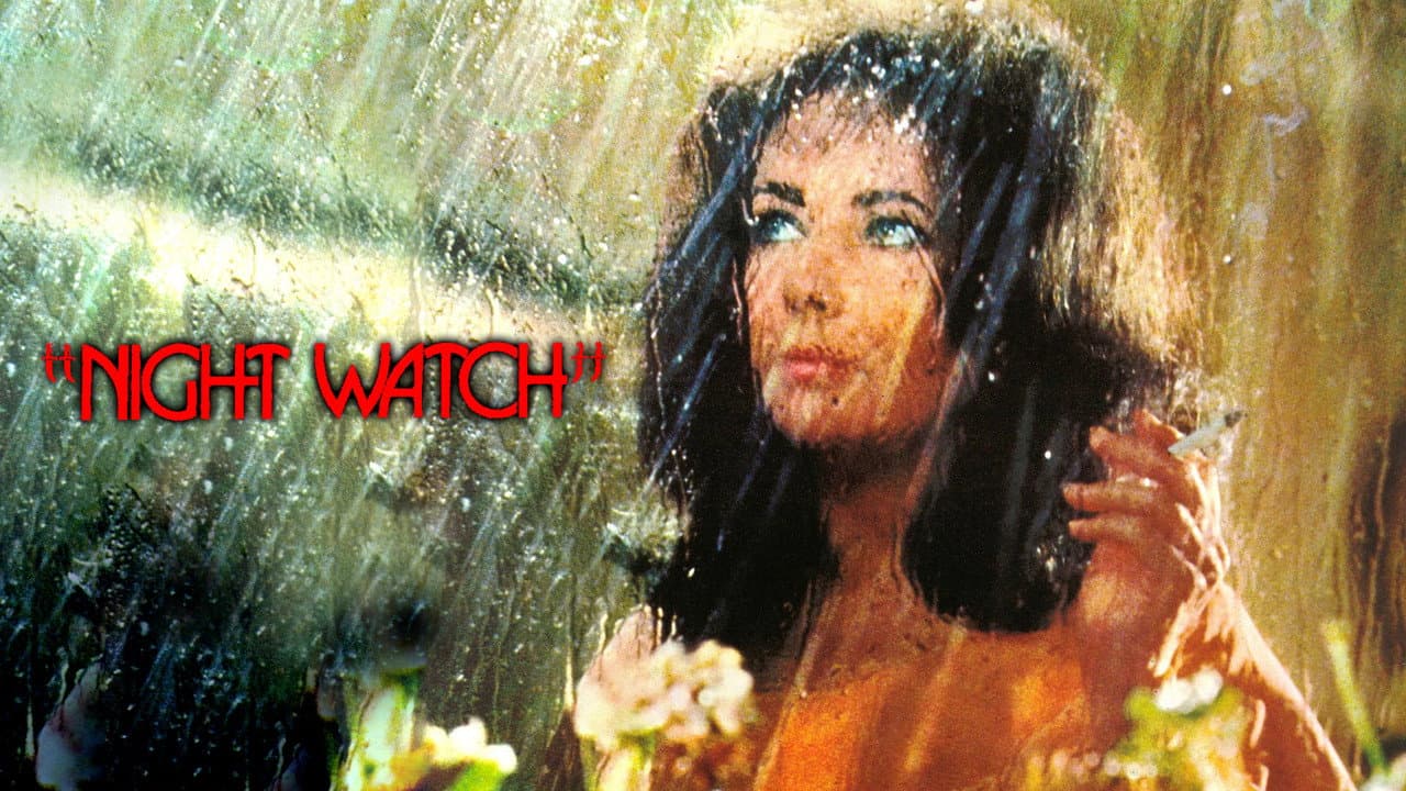 Night Watch still 4