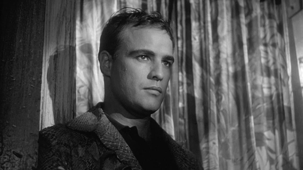 The Fugitive Kind still 3
