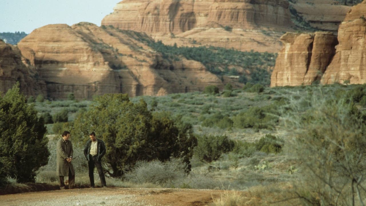 Midnight Run still 8
