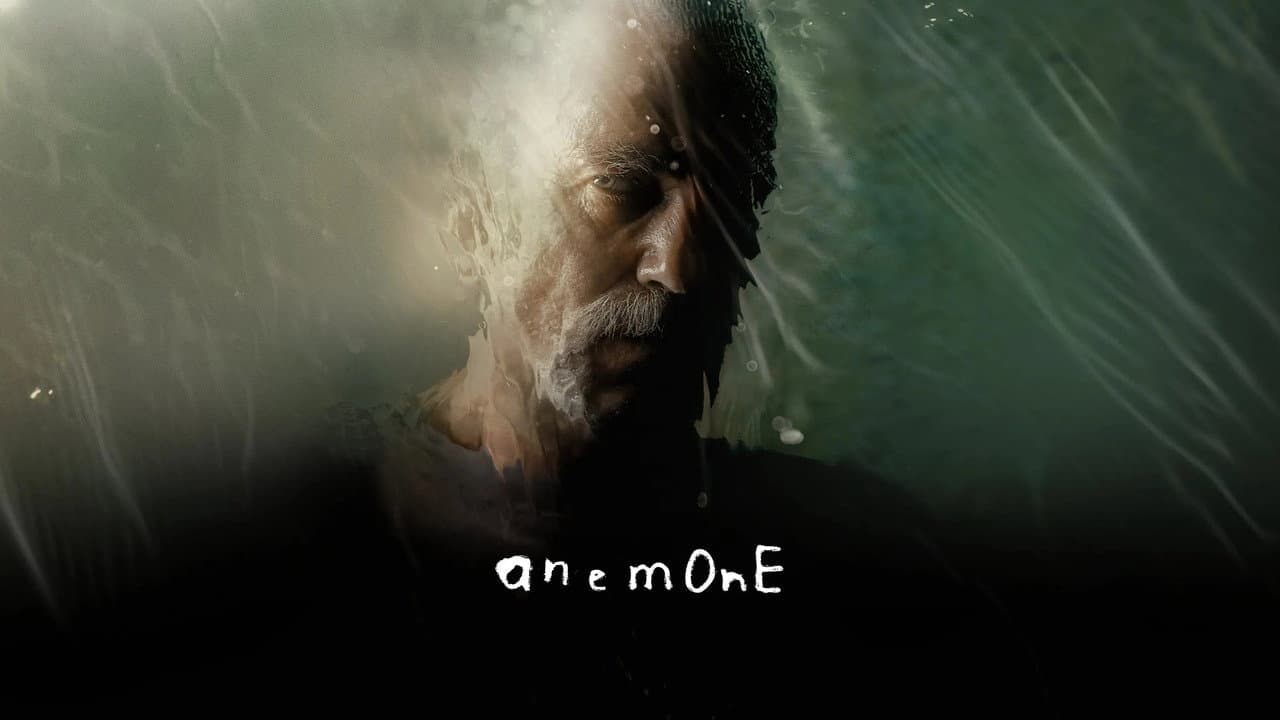 Anemone still 6