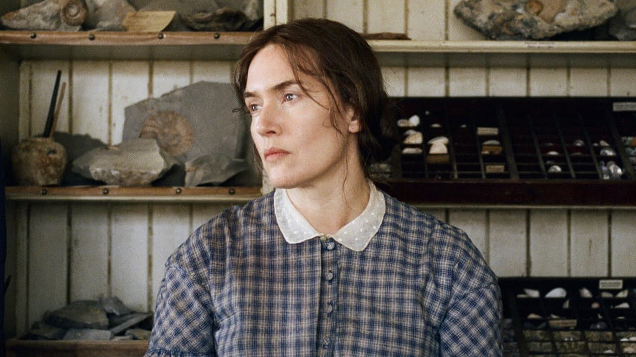 Ammonite still 8