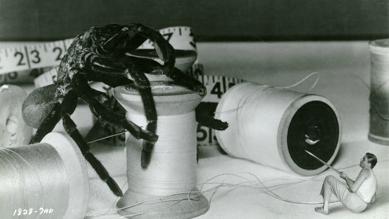 The Incredible Shrinking Man still 3