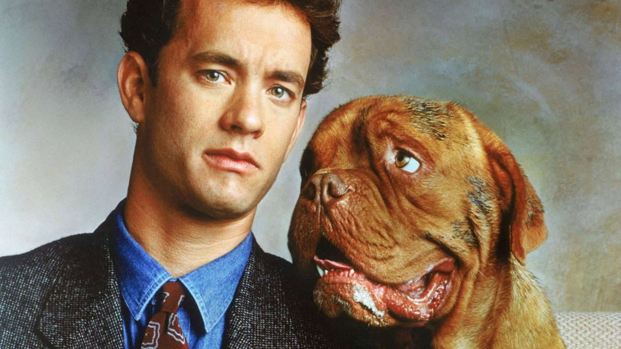 Turner & Hooch still 5