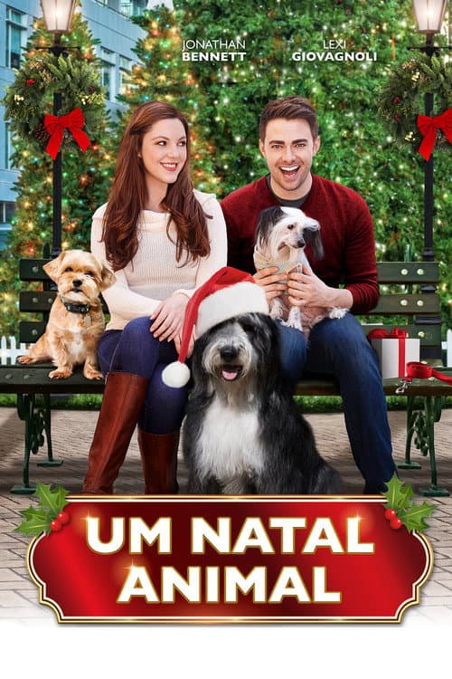 A Dogwalker's Christmas Tale still 6
