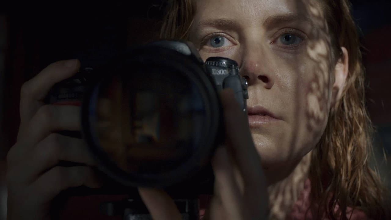 The Woman in the Window still 8