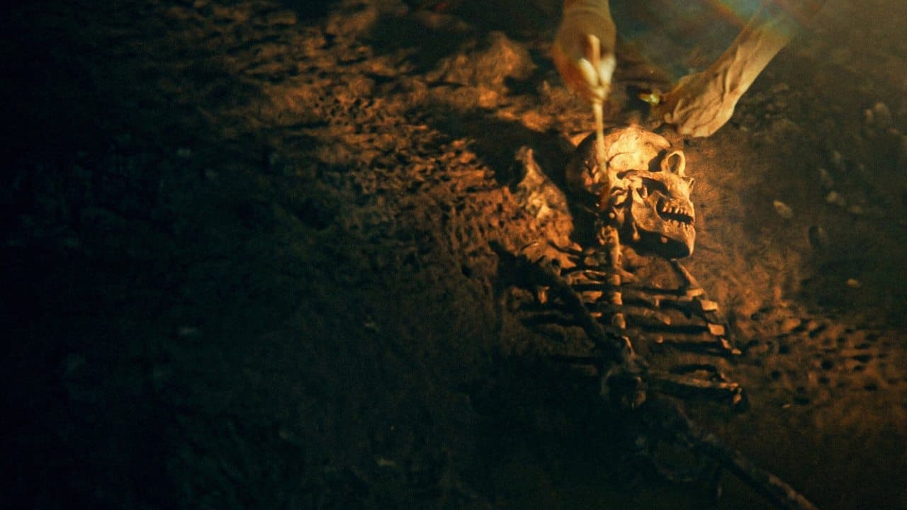 Secrets of the Neanderthals still 1
