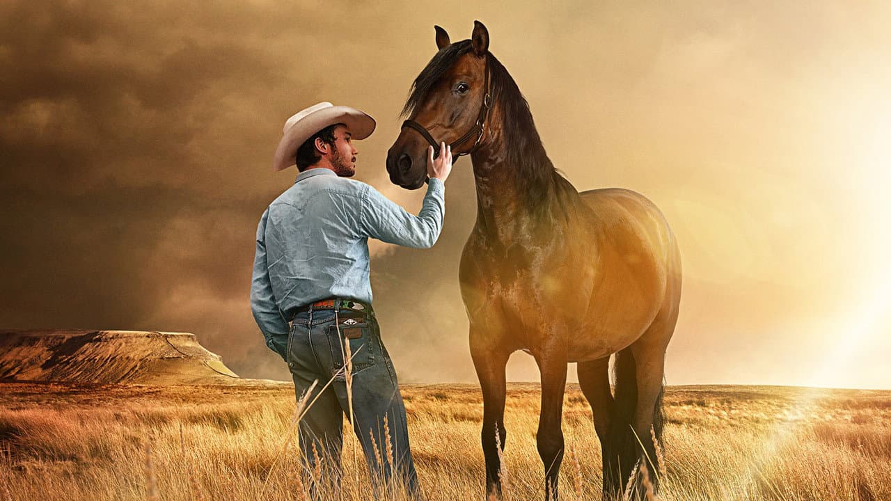 The Rider still 6