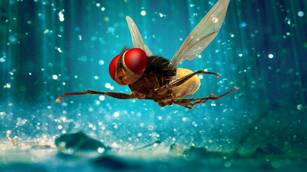 Eega still 2