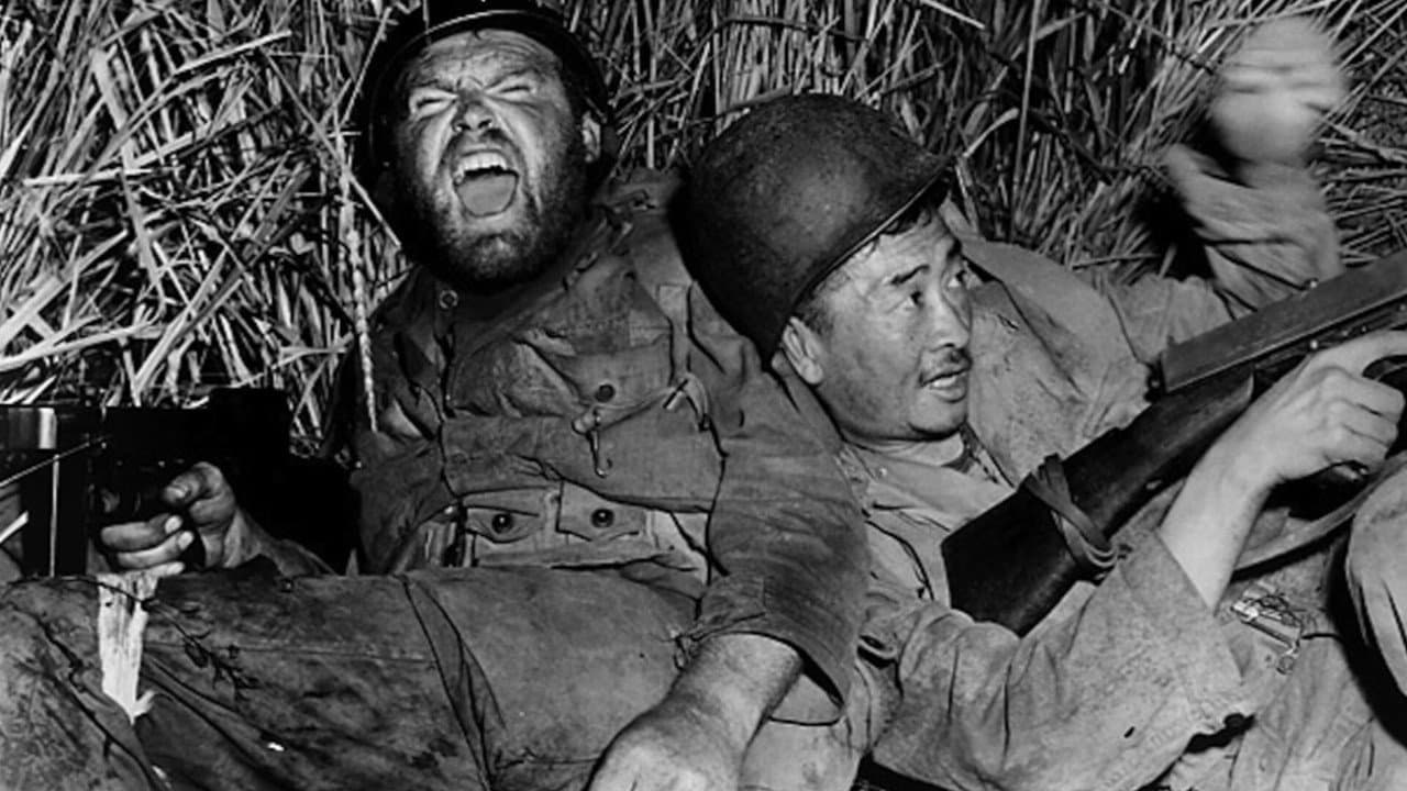 The Steel Helmet still 4