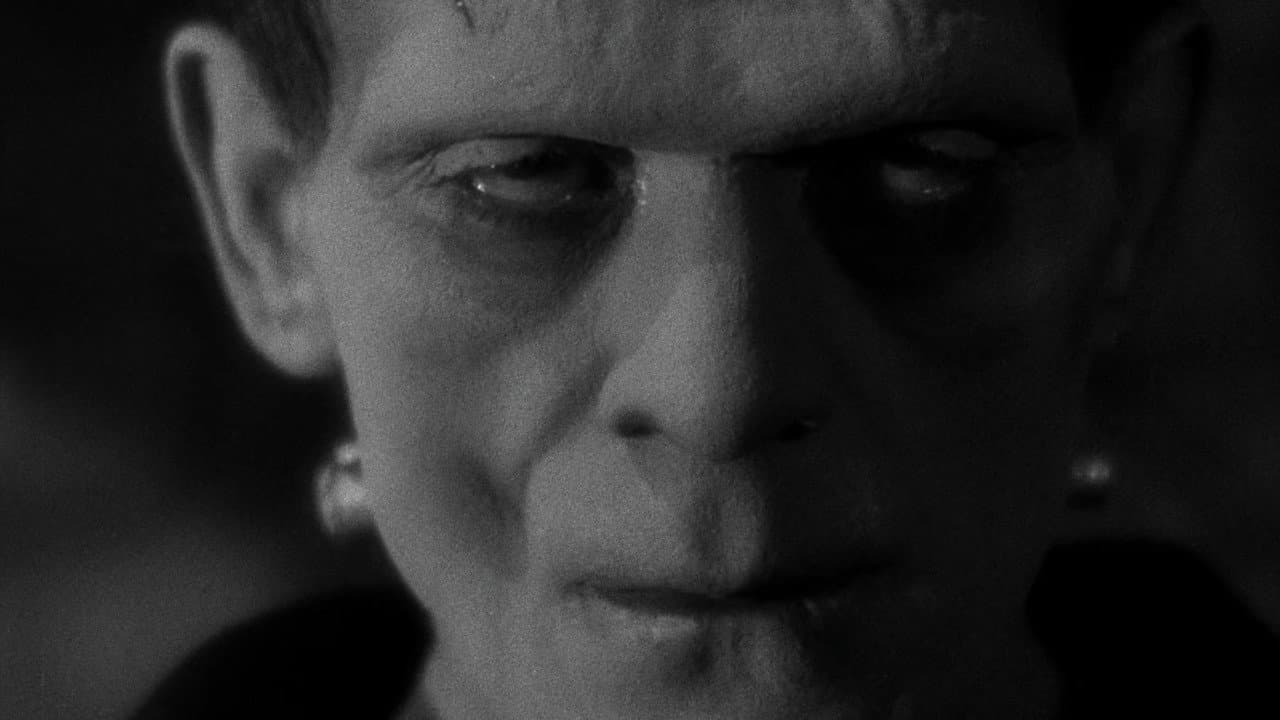 Frankenstein still 7