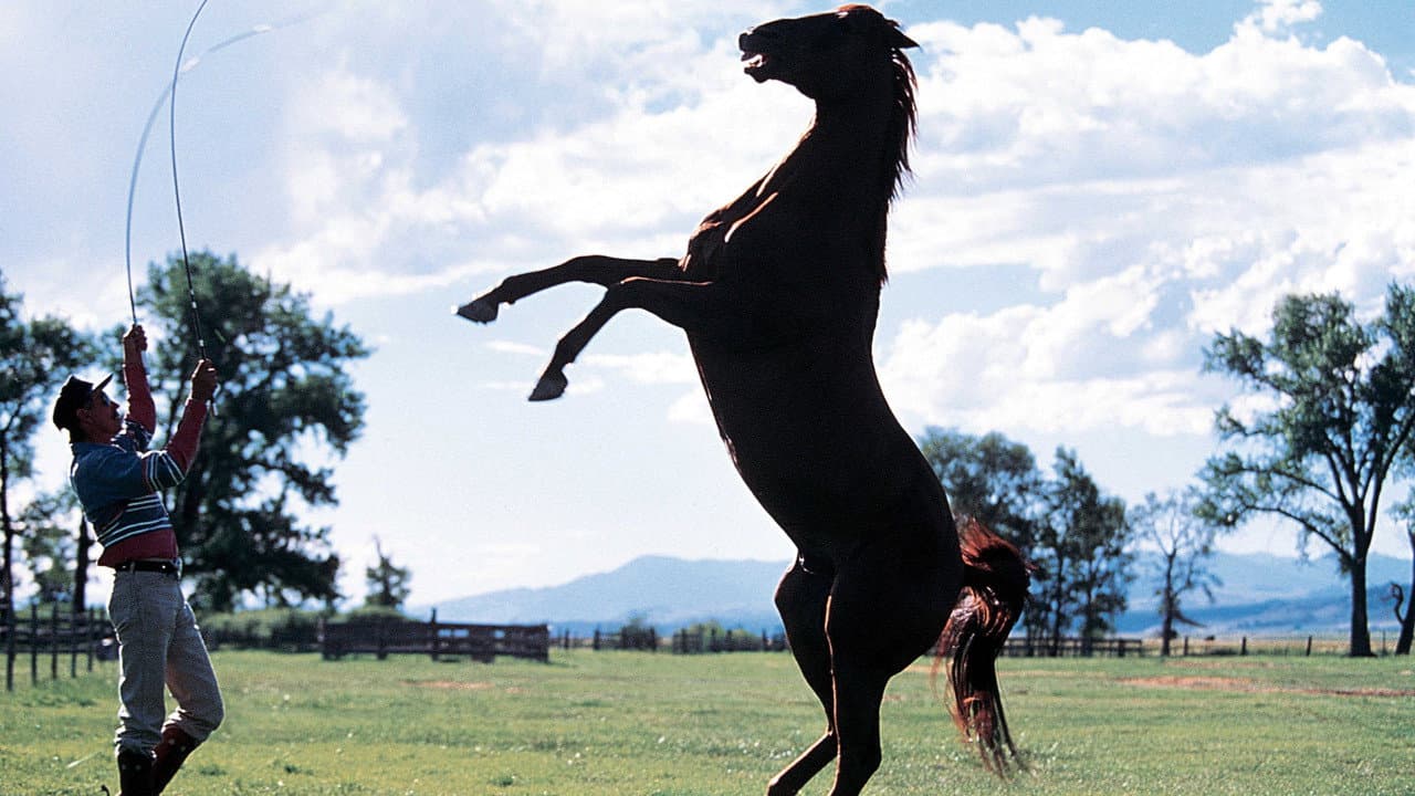 The Horse Whisperer still 8