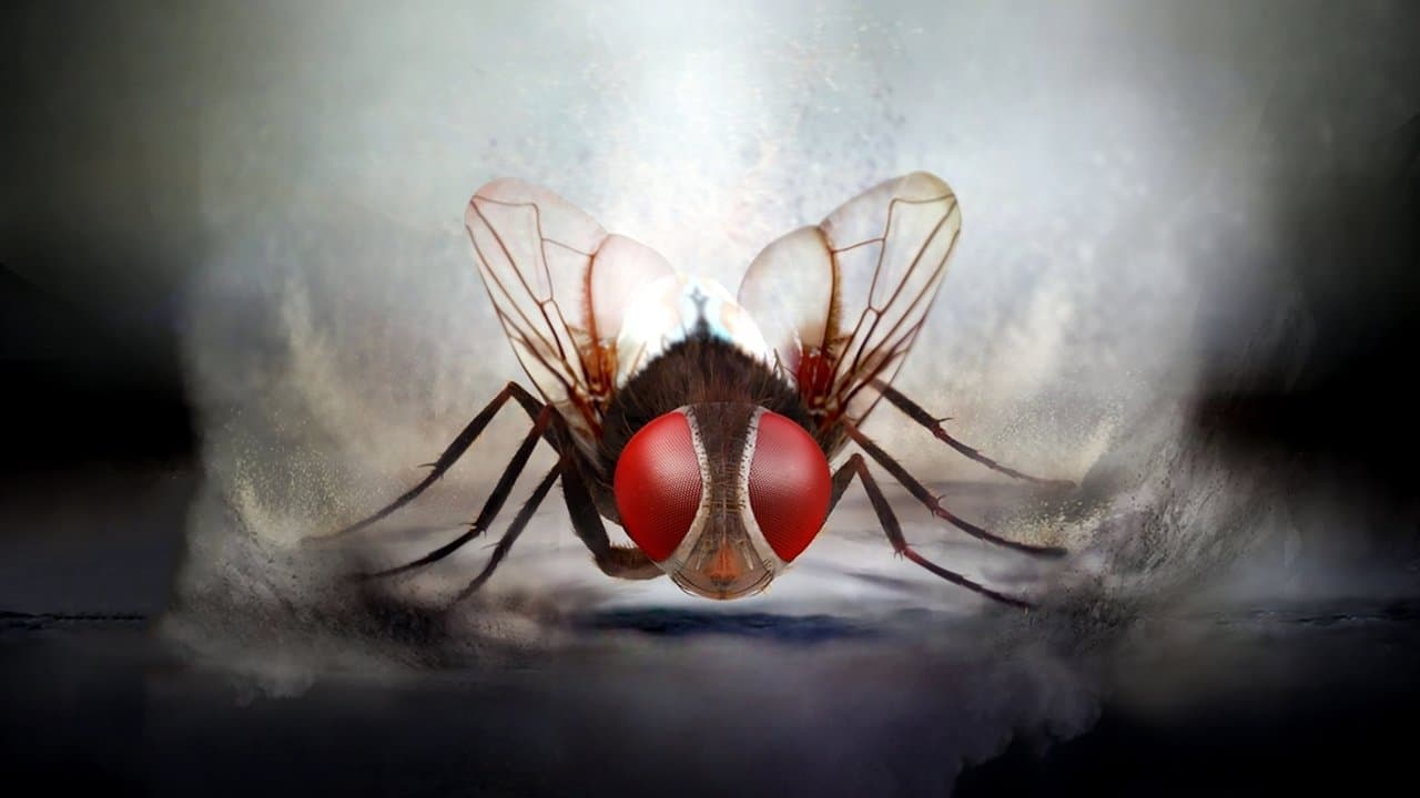 Eega still 1