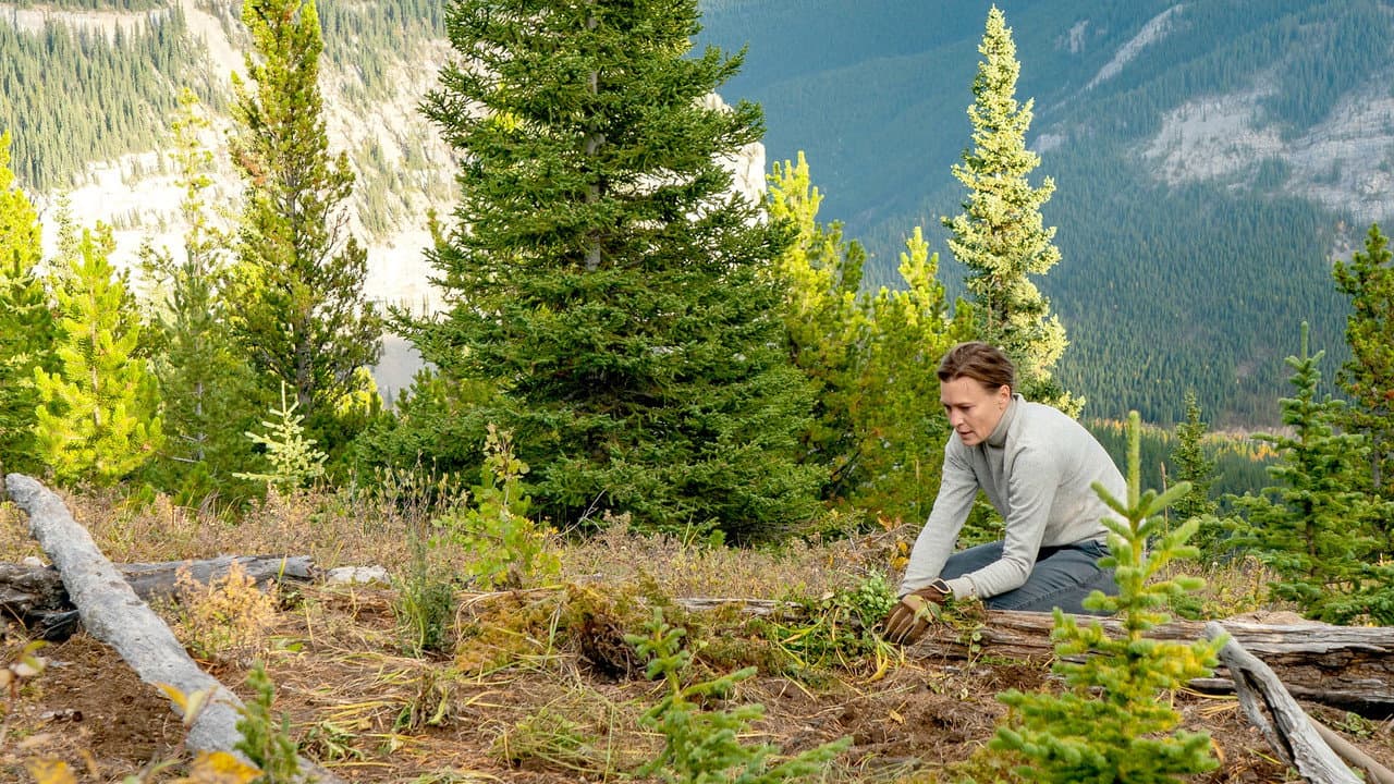 Land still 8