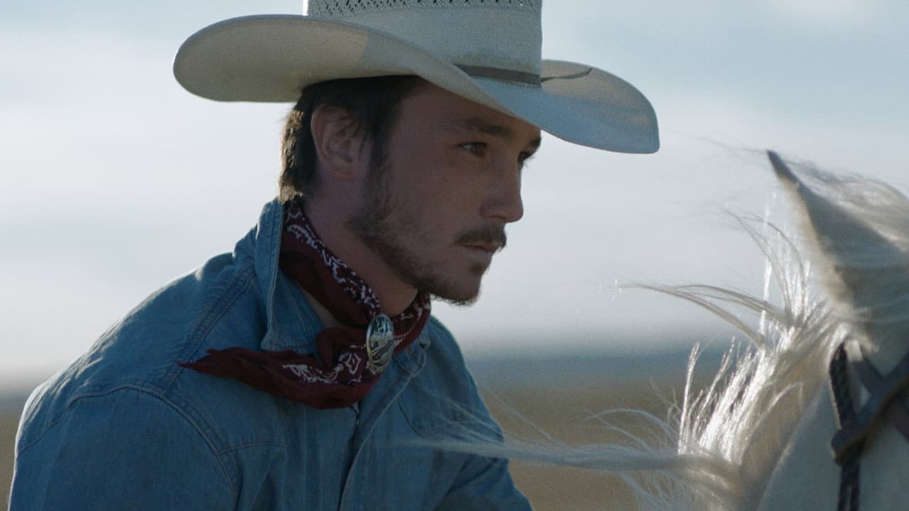 The Rider still 8