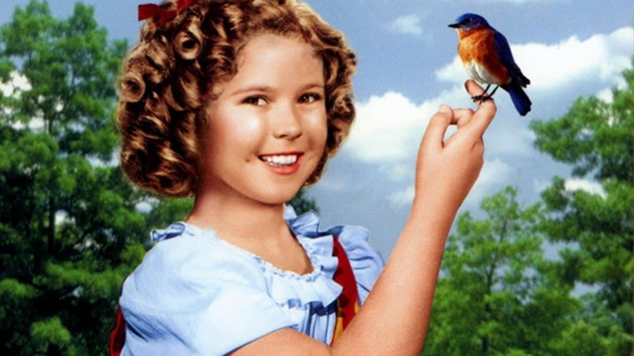 The Blue Bird still 5