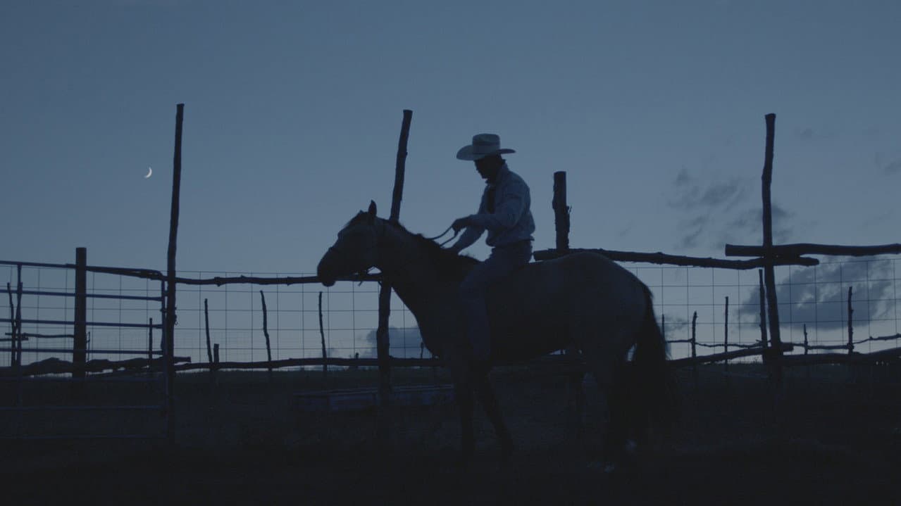 The Rider still 7
