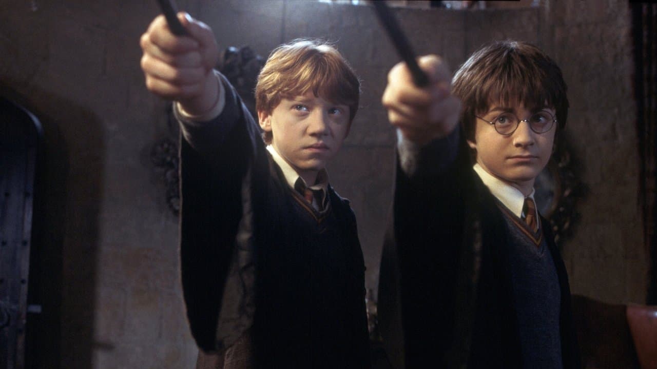Harry Potter and the Chamber of Secrets still 3