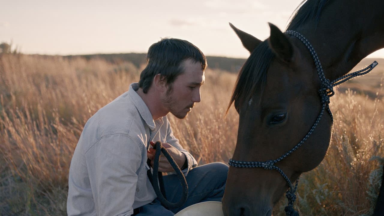 The Rider still 5