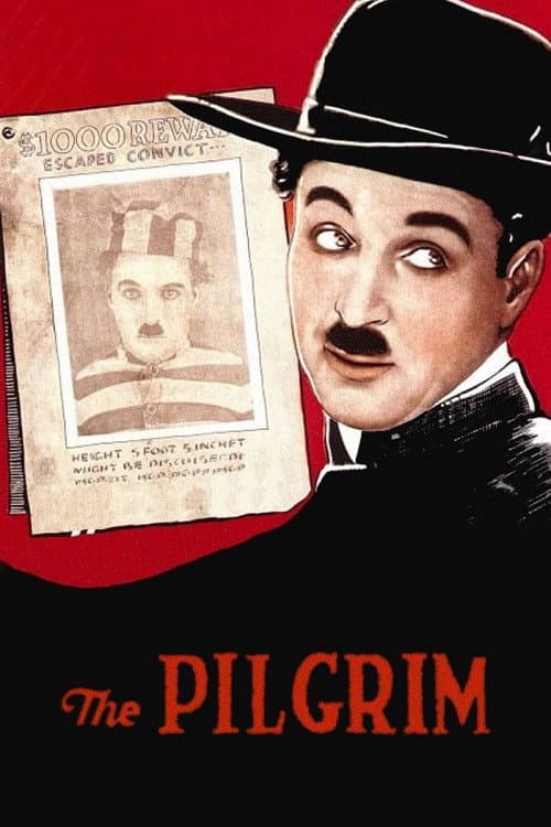 The Pilgrim still 4